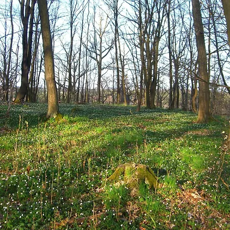 Апартаменты Harzschloesschen