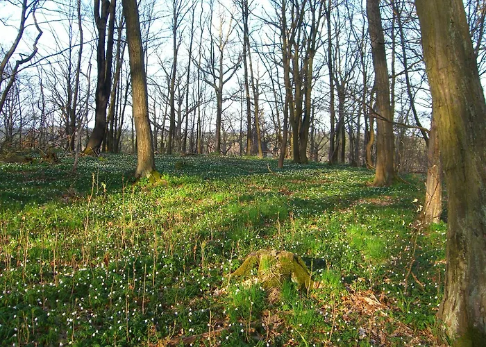 Lägenhet Harzschloesschen