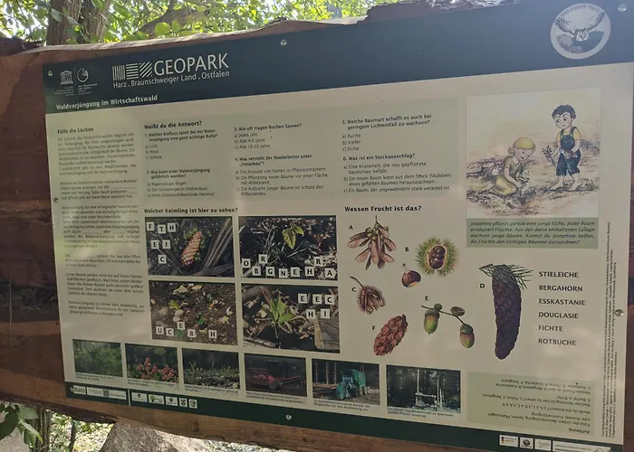 Harzschloesschen Harzgerode